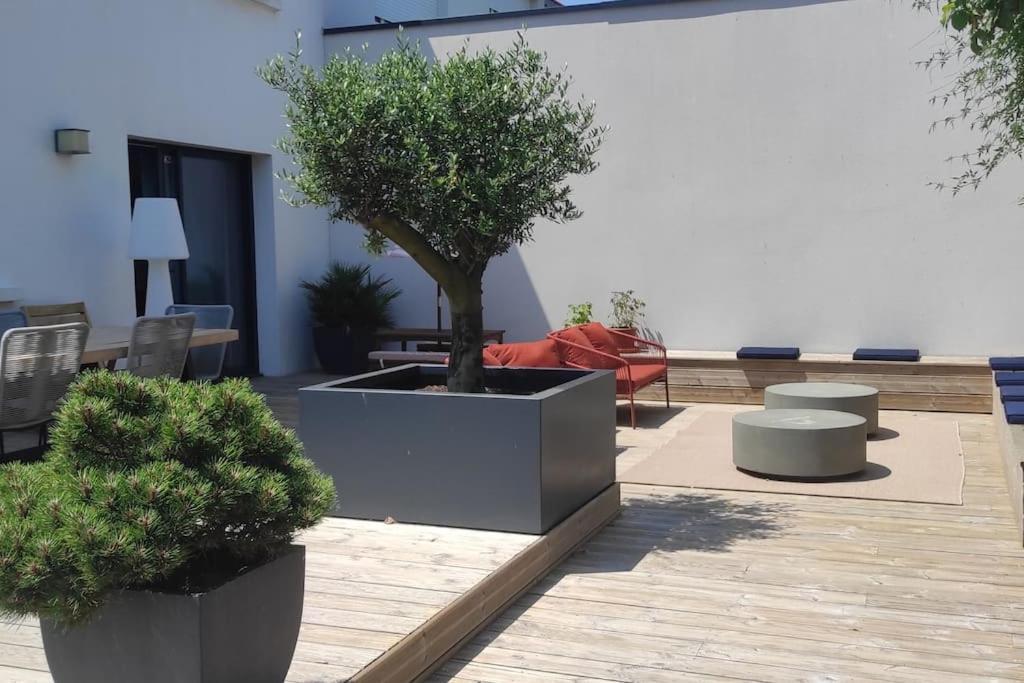 Superbe Maison Familiale A 50 M De La Plage Concarneau Eksteriør billede