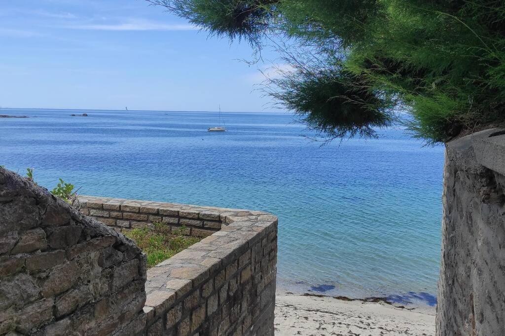 Superbe Maison Familiale A 50 M De La Plage Concarneau Eksteriør billede