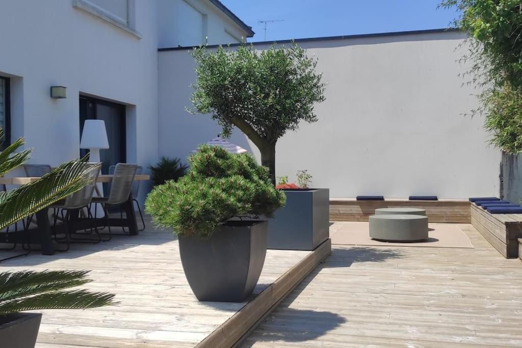 Superbe Maison Familiale A 50 M De La Plage Concarneau Eksteriør billede